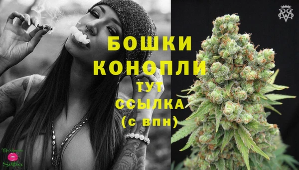 ПСИЛОЦИБИНОВЫЕ ГРИБЫ Вязьма