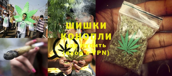 ПСИЛОЦИБИНОВЫЕ ГРИБЫ Вязьма