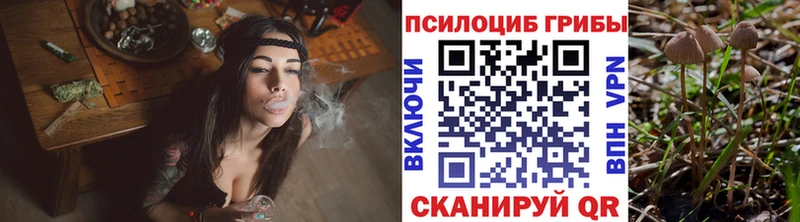 Псилоцибиновые грибы Magic Shrooms  мориарти клад  Энгельс 